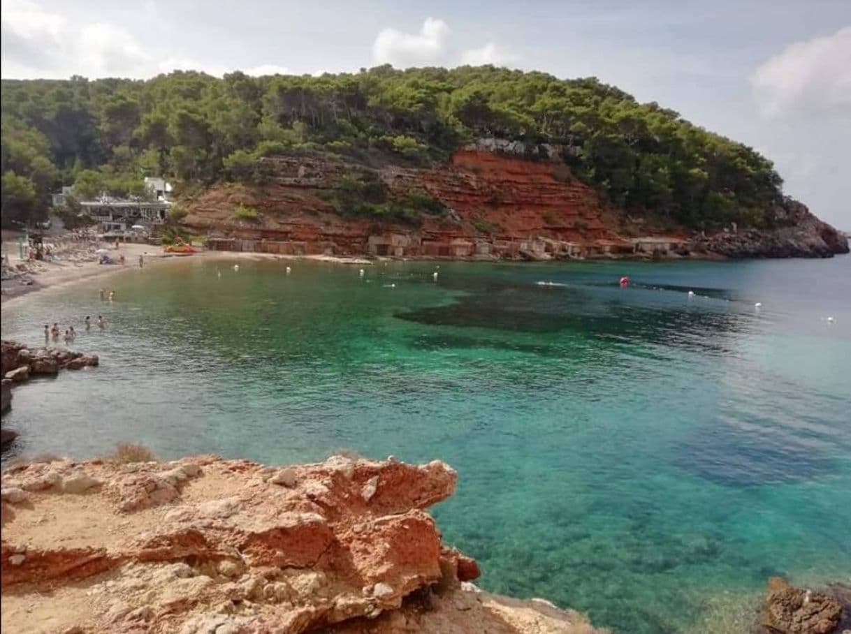 Place Ibiza