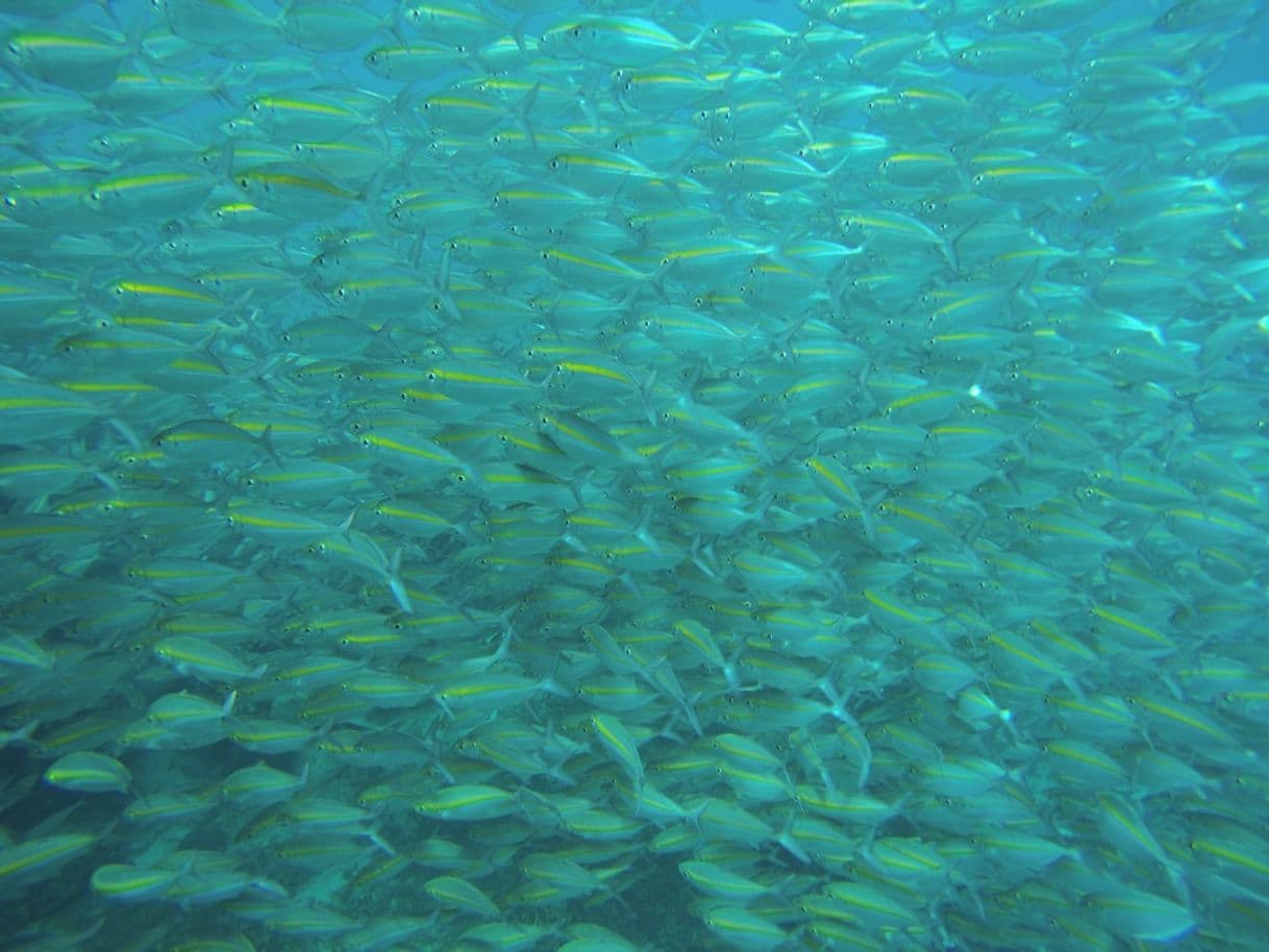 Lugar Nangyuan Island