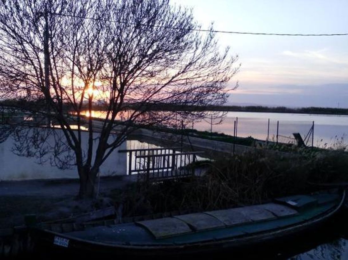 Lugar Albufera de Valencia