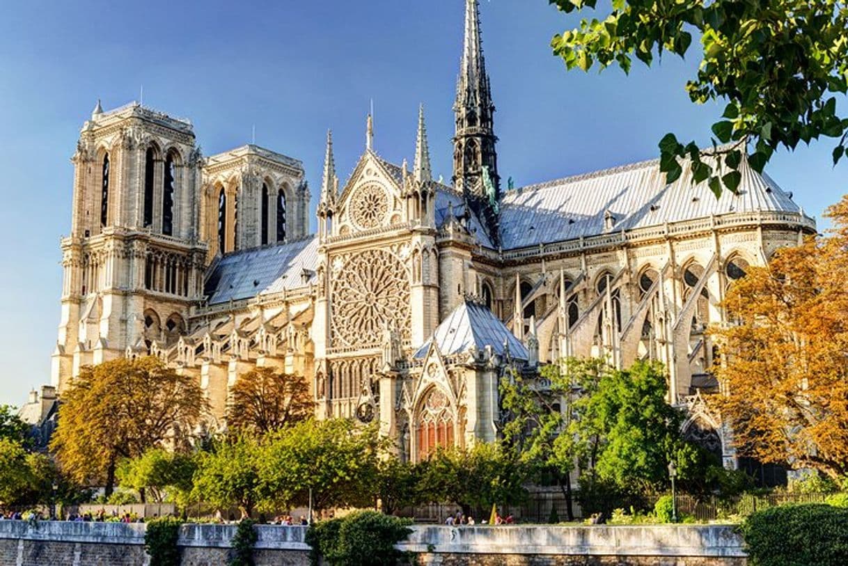 Place Catedral de Notre Dame