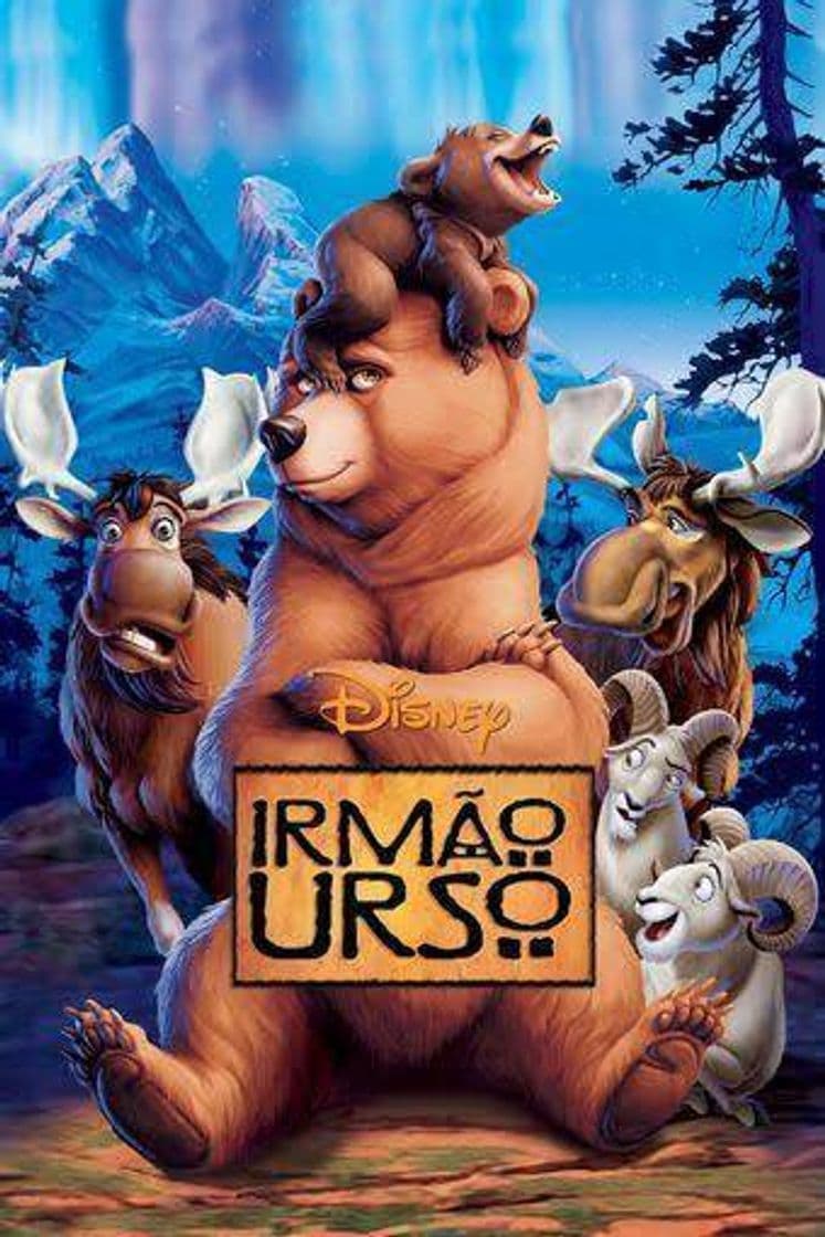 Movie Irmão Urso