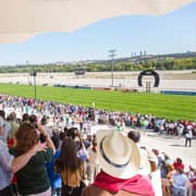 Place Hipódromo de la Zarzuela