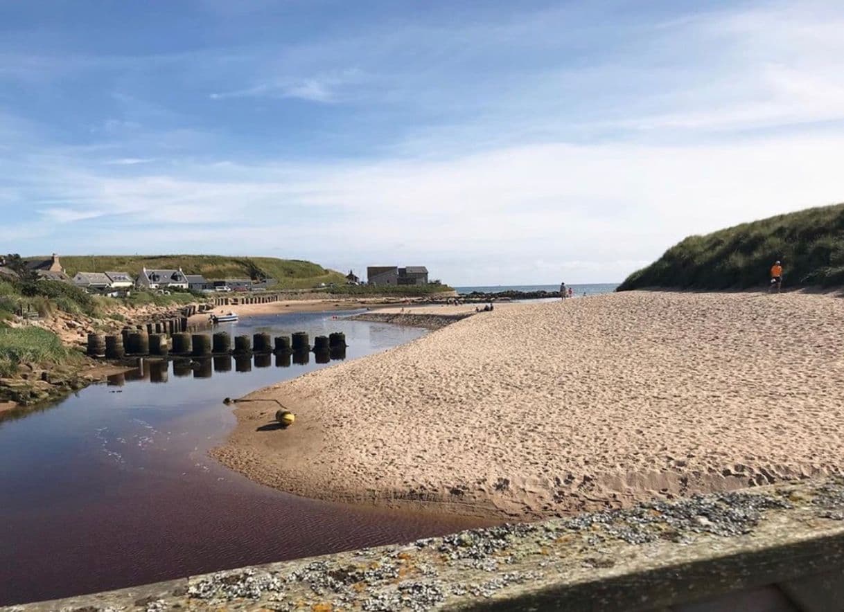 Place Cruden Bay