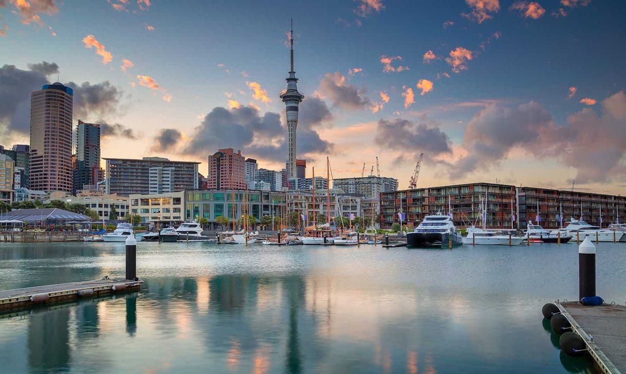 Place Auckland