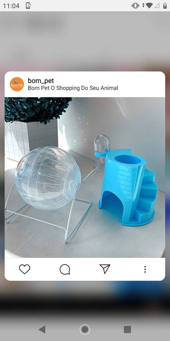 Moda Pra vocês que tem hamster ou esquilo da Mongólia igual a mim