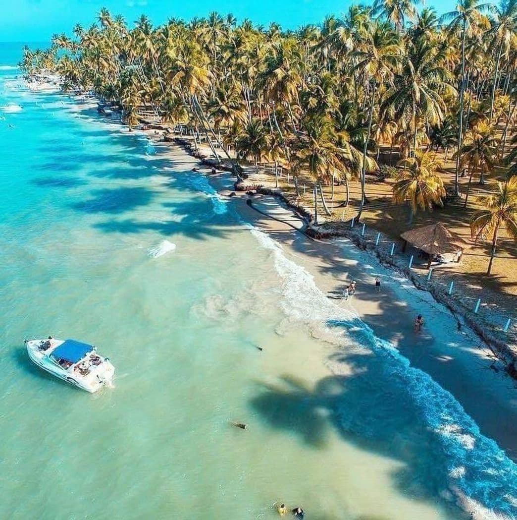 Place Praia dos Carneiros