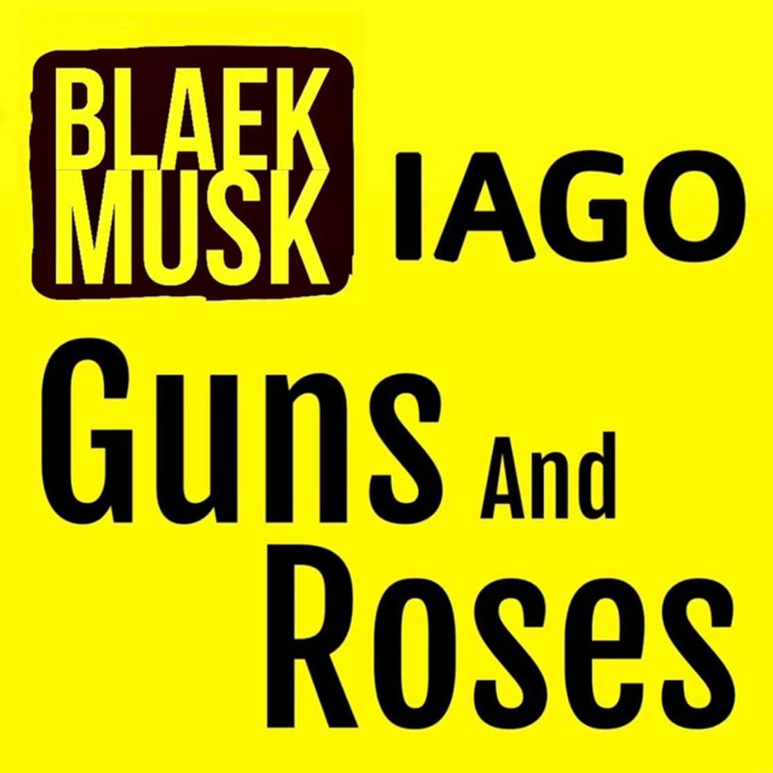 Canción Guns And Roses - Radio Mix