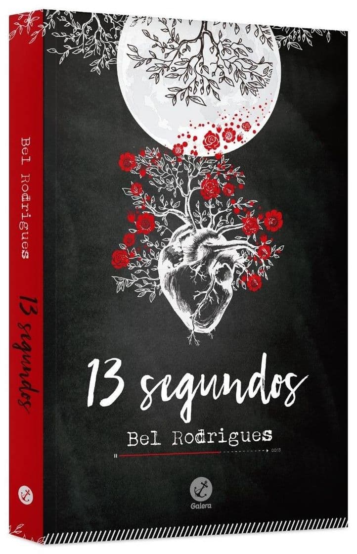 Book 13 segundos - Bel Rodrigues