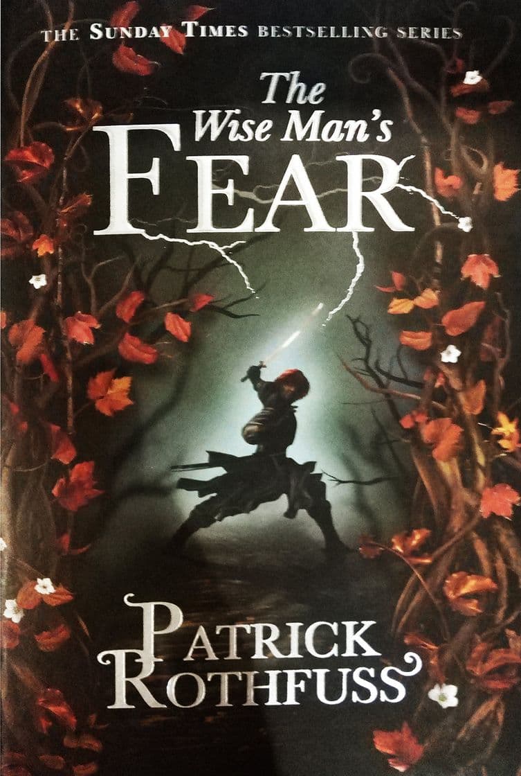 Book The Wise Man's Fear: The Kingkiller Chronicle: Book 2