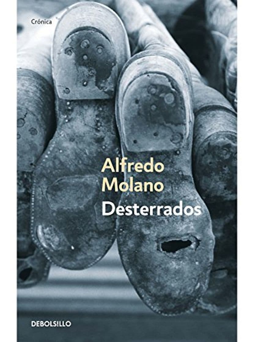 Book Desterrados