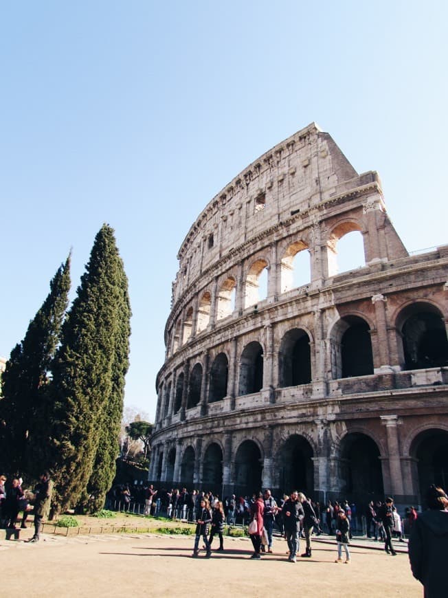 Lugar Coliseo de Roma