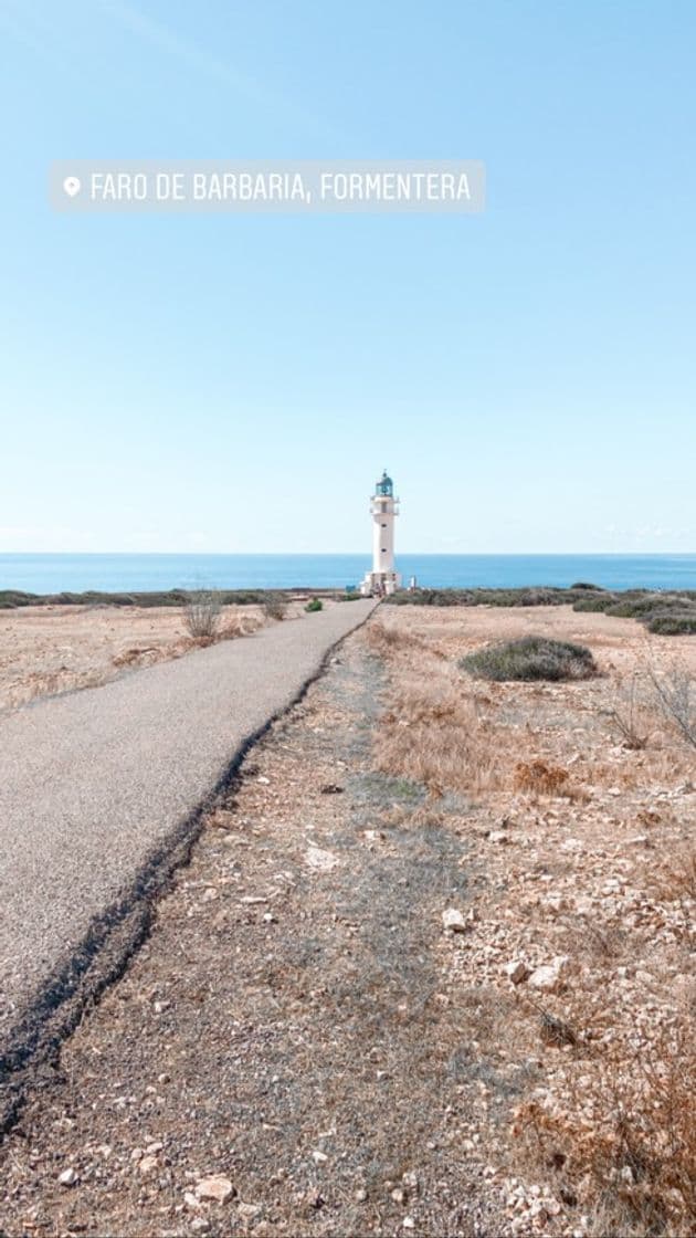 Place Faro cap De Barbaria