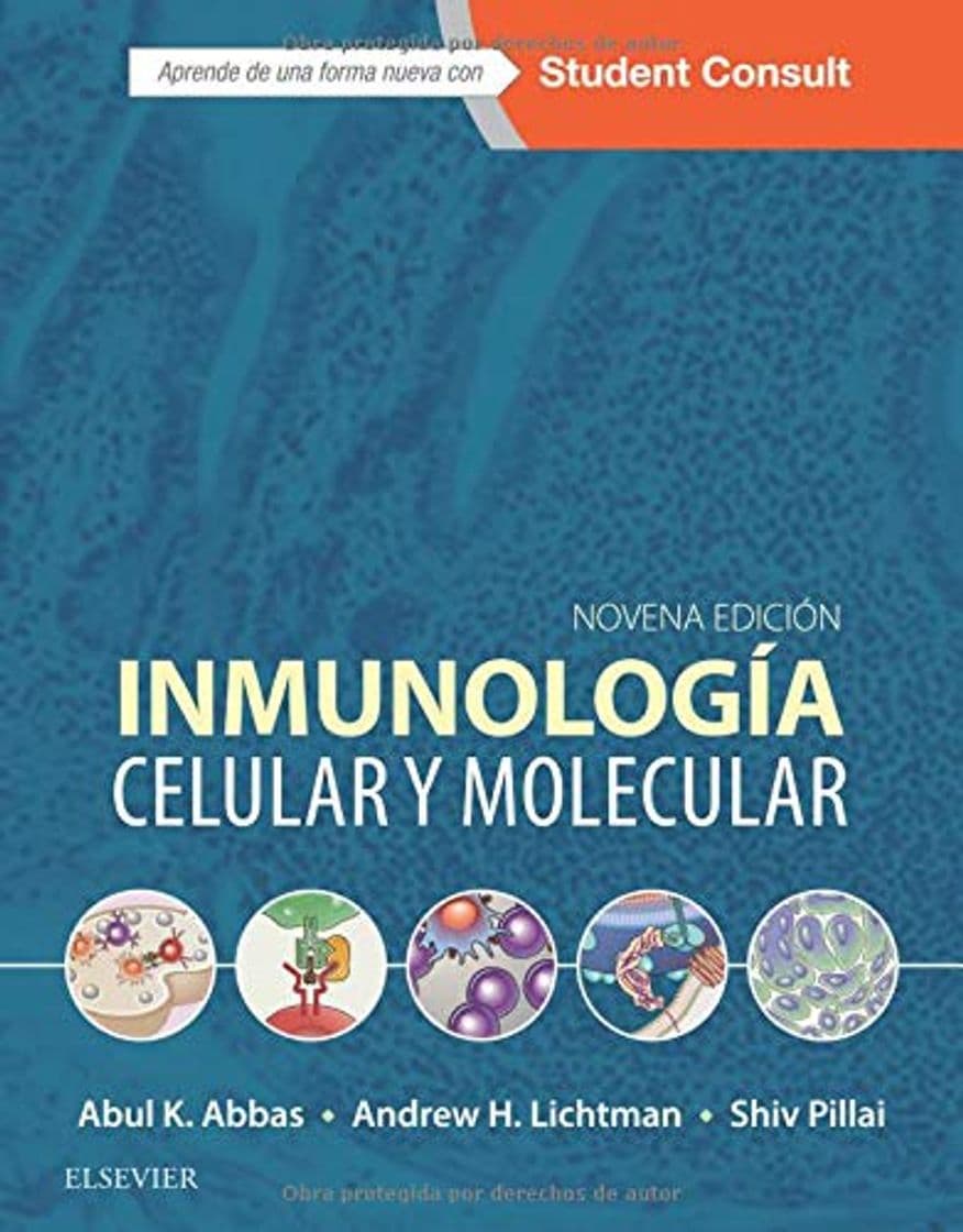 Libro Student Consult. Inmunología celular y molecular - 9ª edición