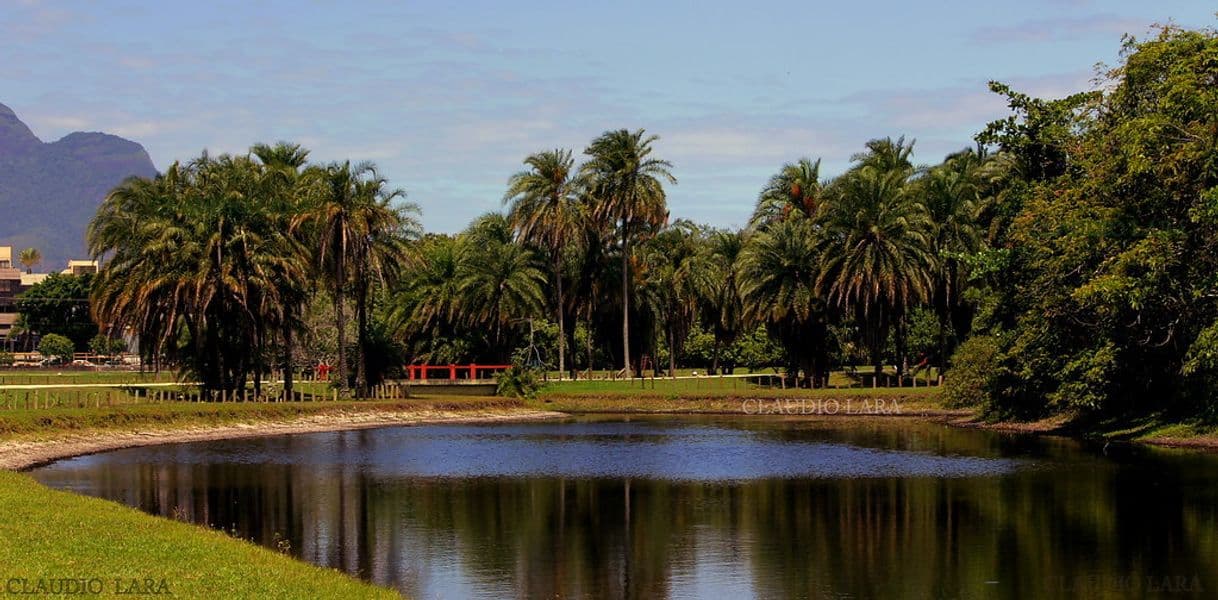 Restaurantes Bosque da Barra