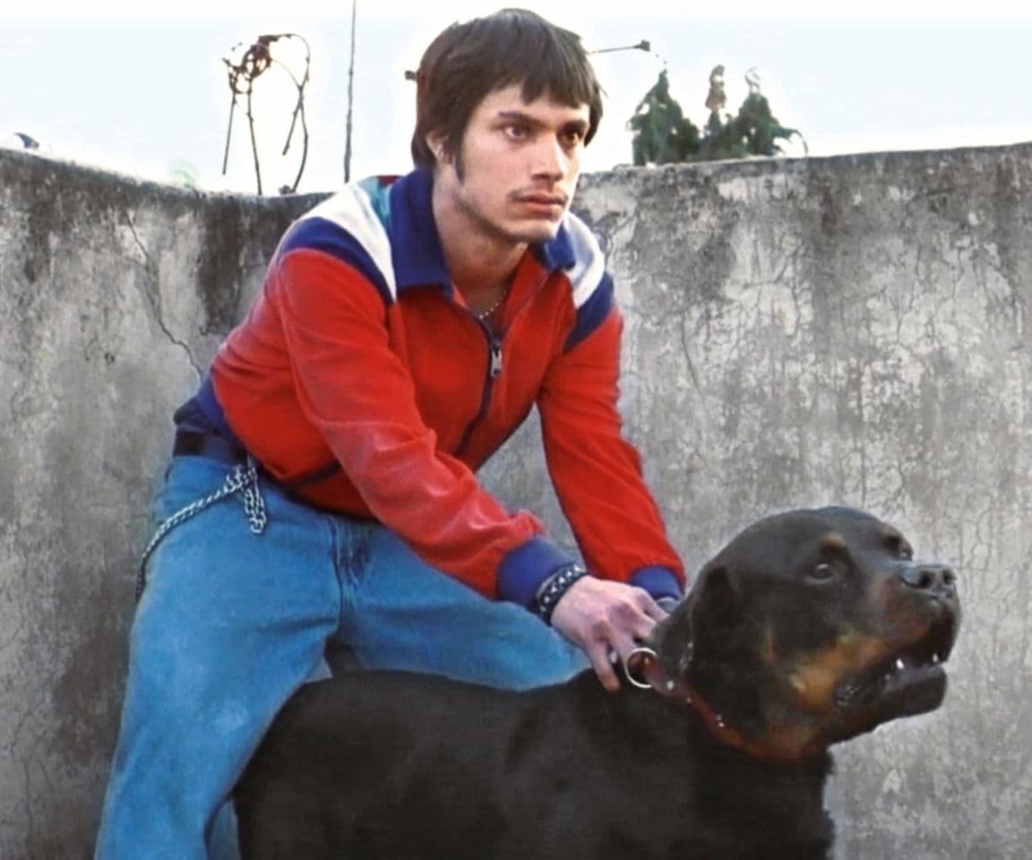 Movie Amores Perros