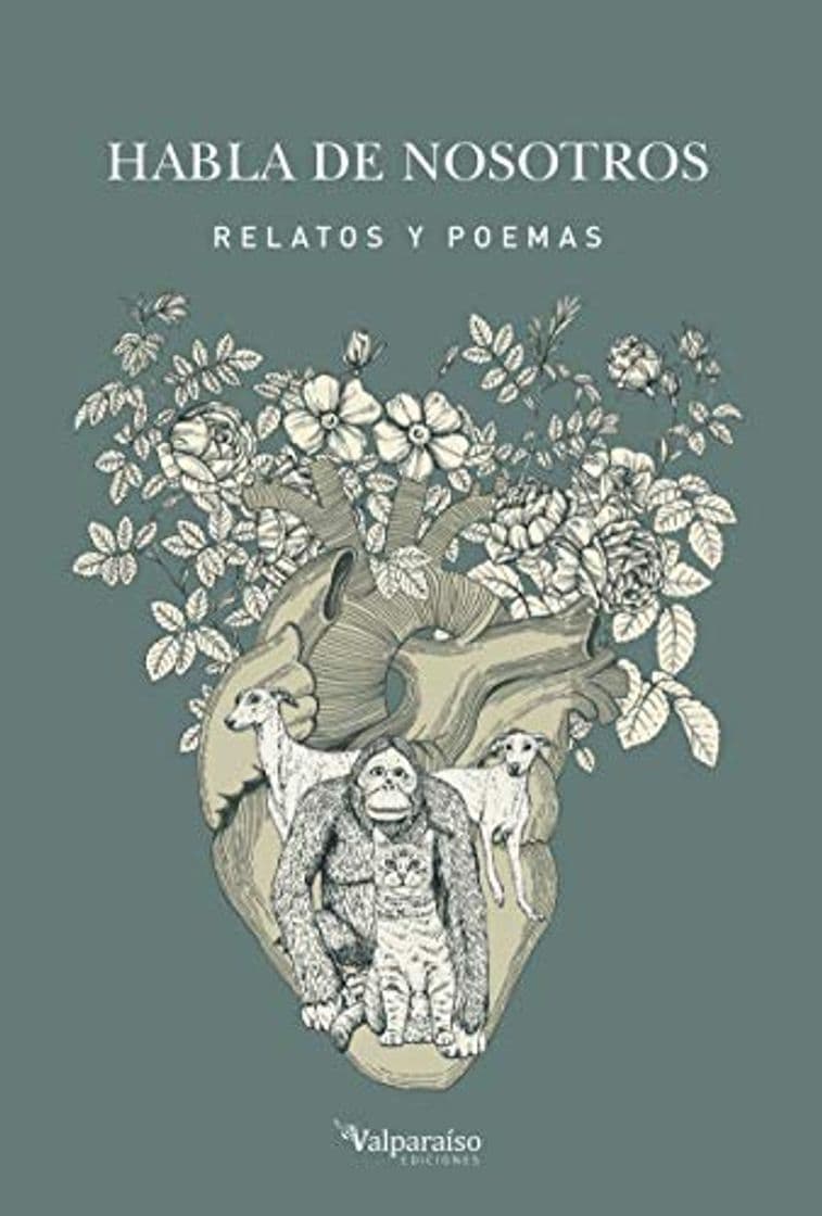 Book Habla de nosotros (NARRATIVA)