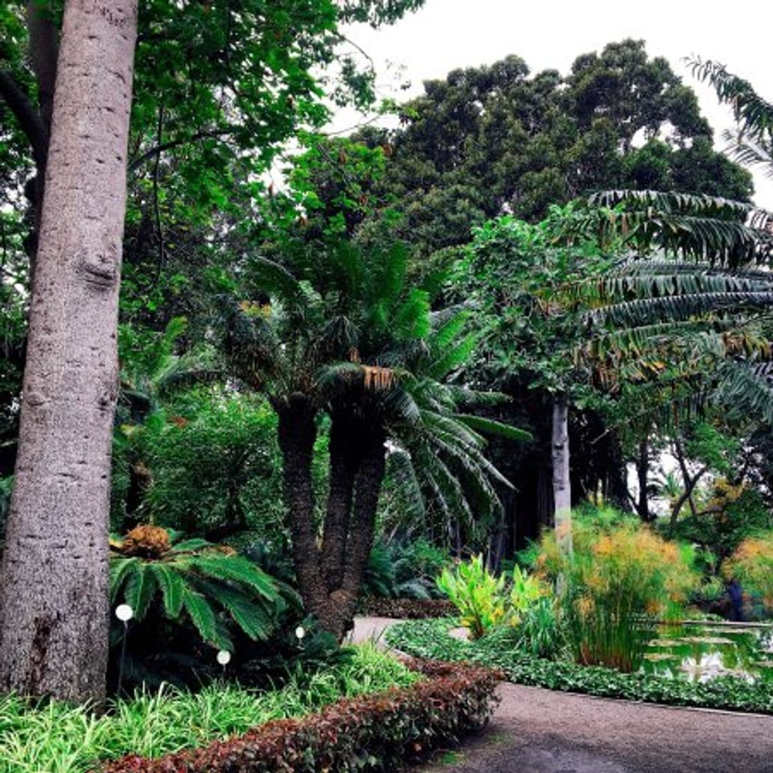 Lugar Jardín Botánico