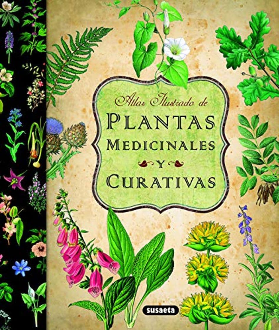 Book Plantas Medicinales Y Curativas