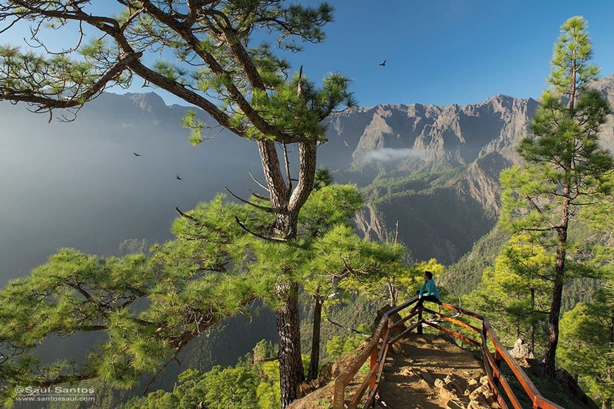 Lugar Parque Nacional de la Caldera de Taburiente