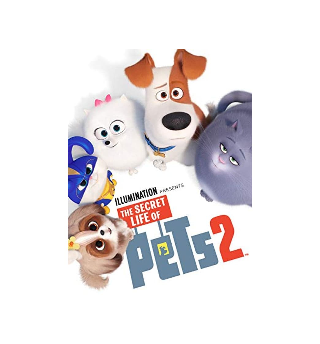 Producto Secret Life of Pets 2, the