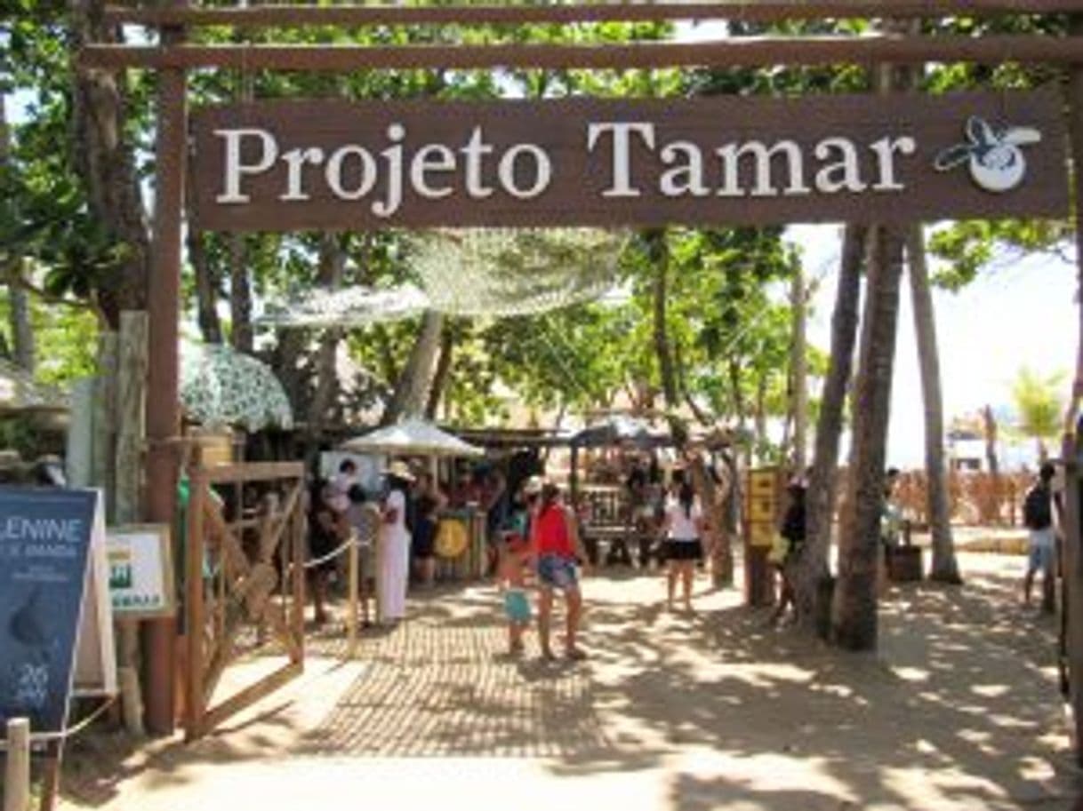 Place Projeto TAMAR Praia do Forte