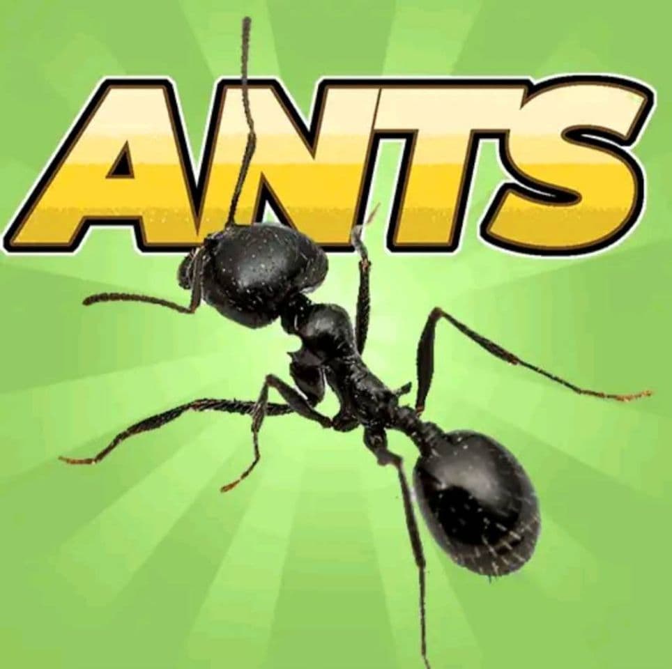 App Pocket Ants: Colony Simulator - Apps on Google Play