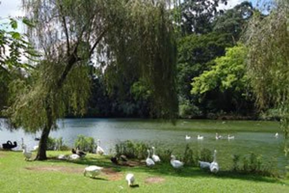 Place Parque Ibirapuera - Vila Mariana