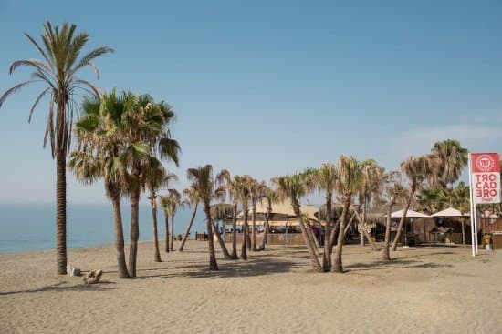 Restaurants Trocadero Playa