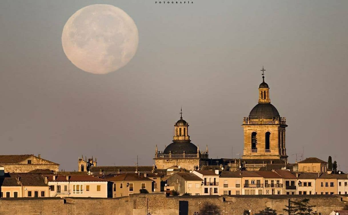 Place Ciudad Rodrigo