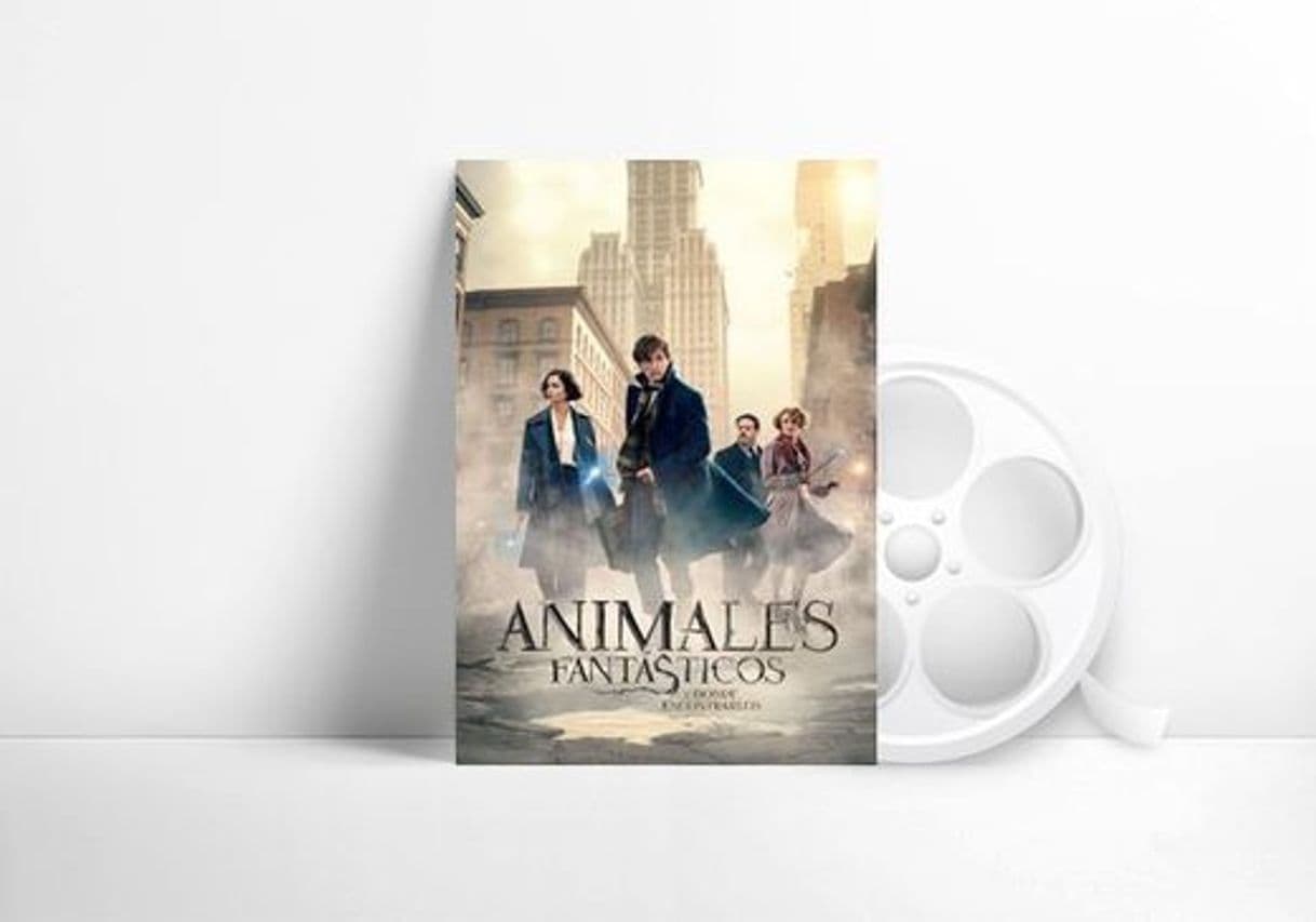 Película Fantastic Beasts and Where to Find Them