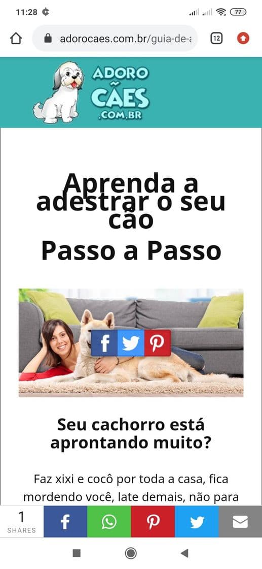 Fashion Site para adestrar cães