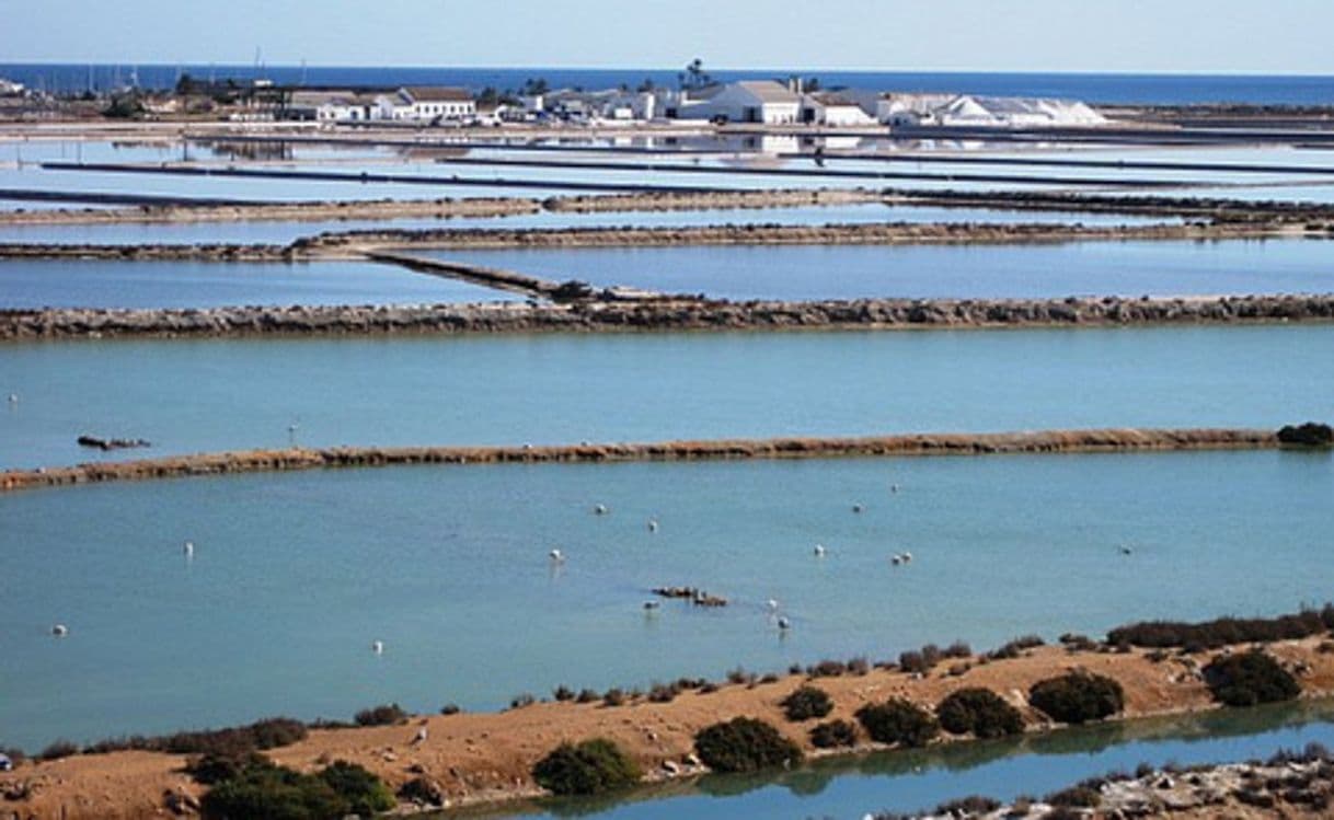 Lugar Parque Regional de las Salinas y Arenales de San Pedro del Pinatar