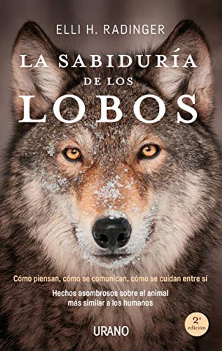 Book La sabiduría de los lobos