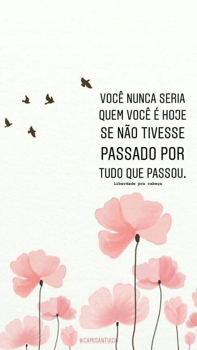 Moda Citação motivacional ❤