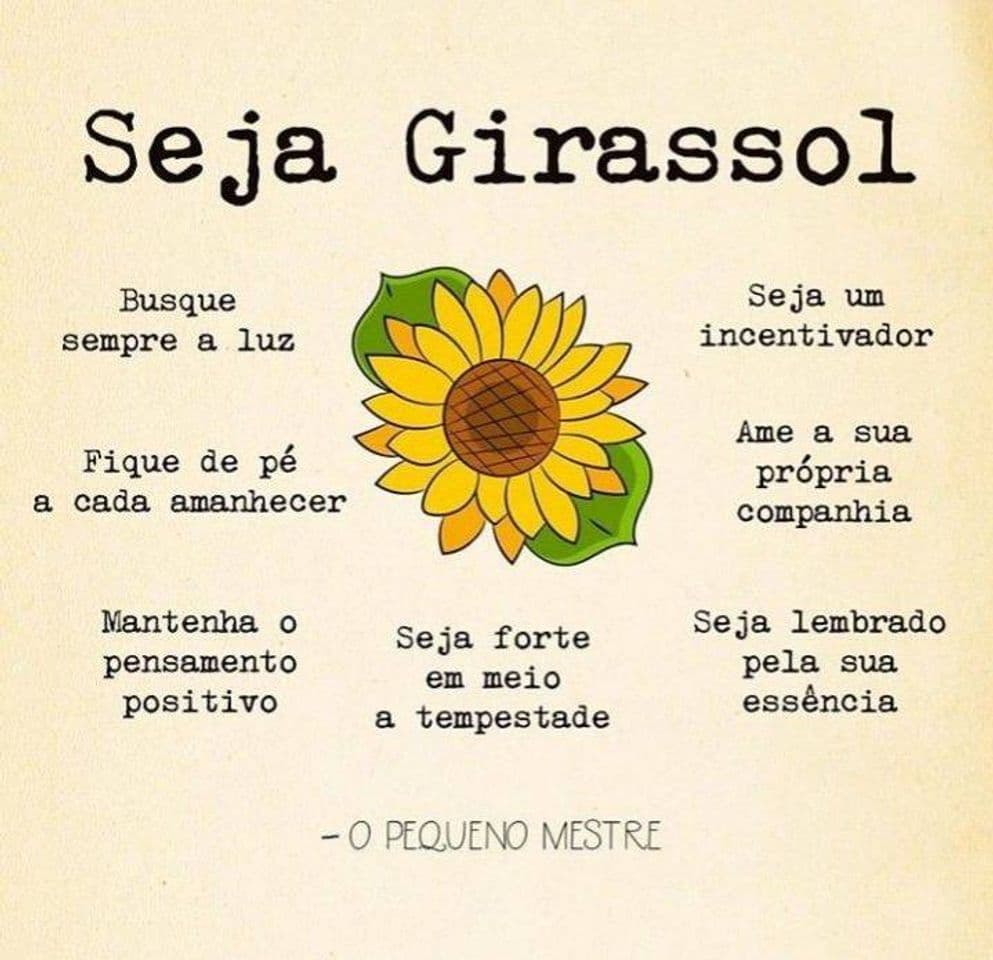 Moda Seja um Girassol 🌻