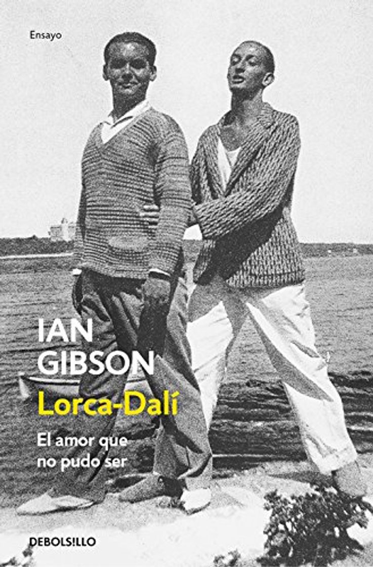 Libro Lorca-Dalí: El amor que no pudo ser (Ensayo