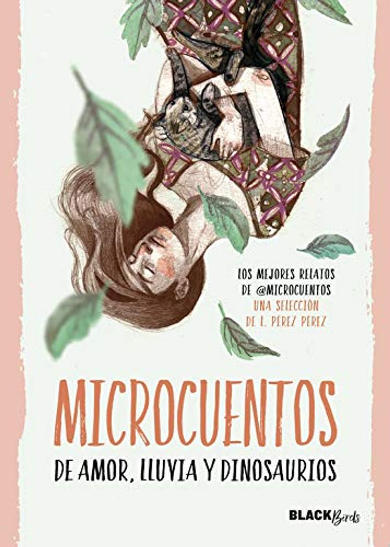 Book Microcuentos de amor