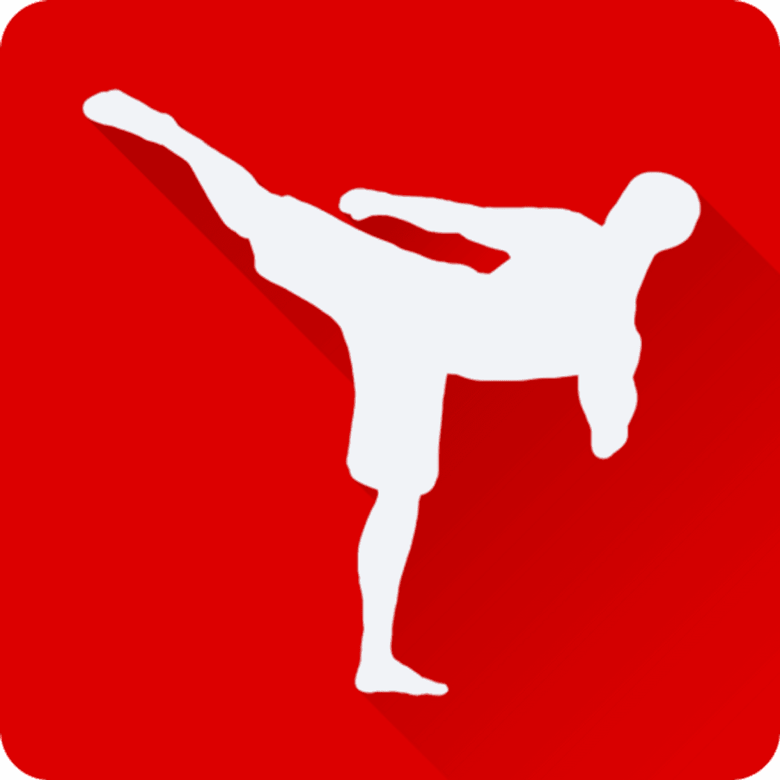 App Fighting Trainer - Playstore