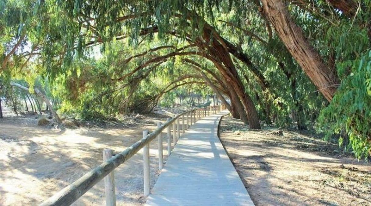 Place Parque natural de las Lagunas de La Mata y Torrevieja