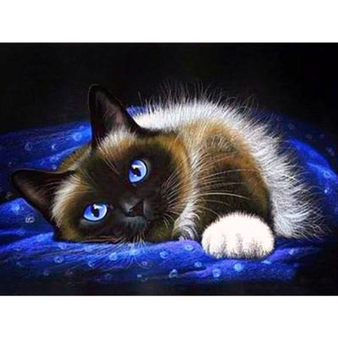 Product Diamond Painting"Cat Food" 3D Embroidery Cross Stitch Animal 5D Kitchen Decor Gift 40X50Cm