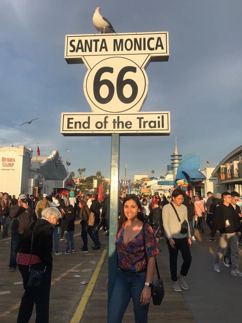 Place Santa Monica Pier