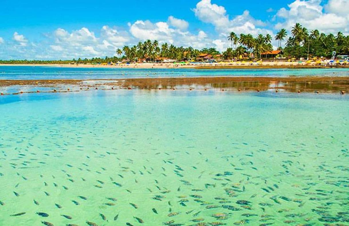 Lugar Porto de Galinhas