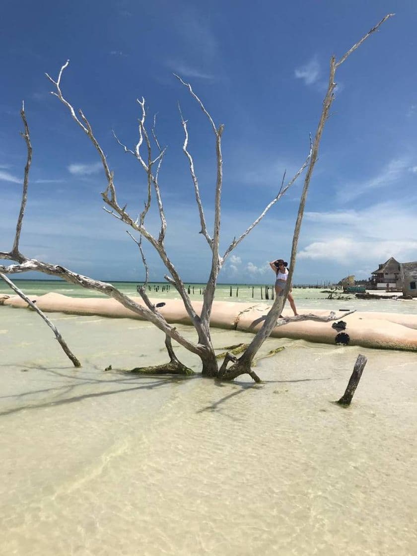 Lugar Isla de Holbox