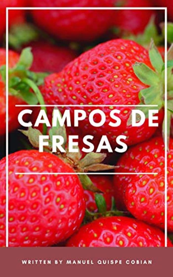 Libro Campos de Fresa