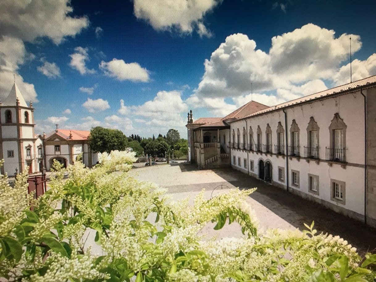 Place Museu Francisco Tavares Proença Jr.