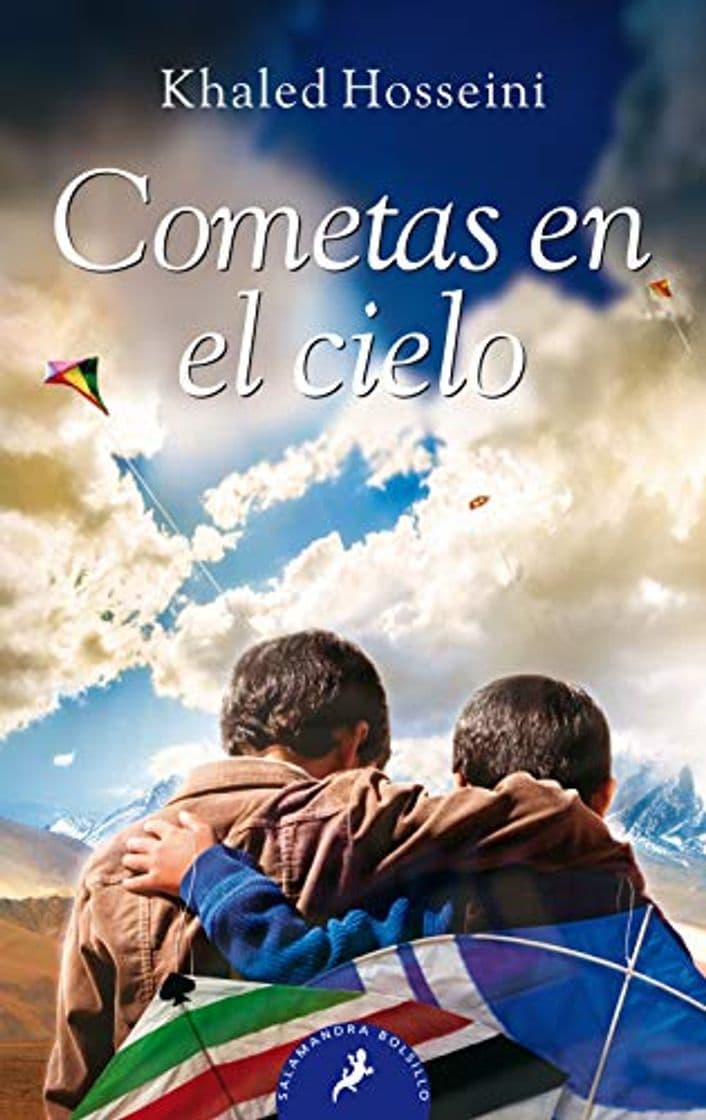 Book Cometas en el cielo