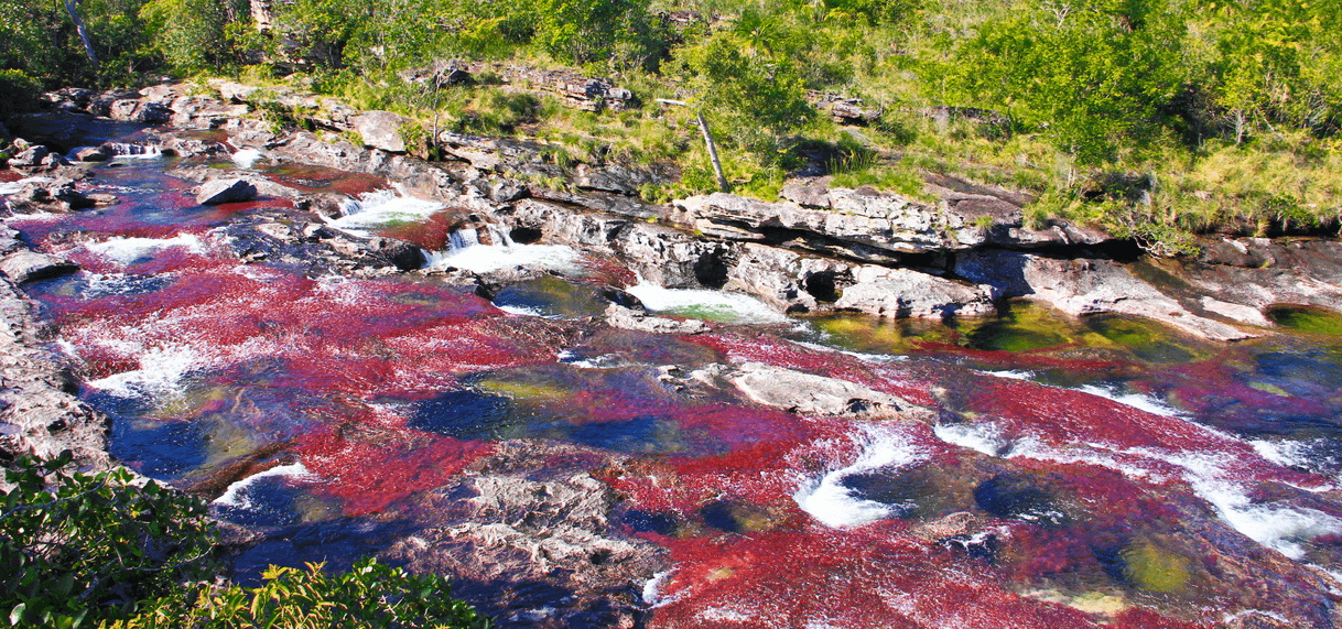 Lugar Caño Cristales