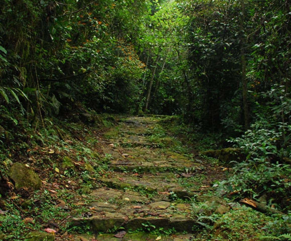 Lugar Caminatas Ecológicas