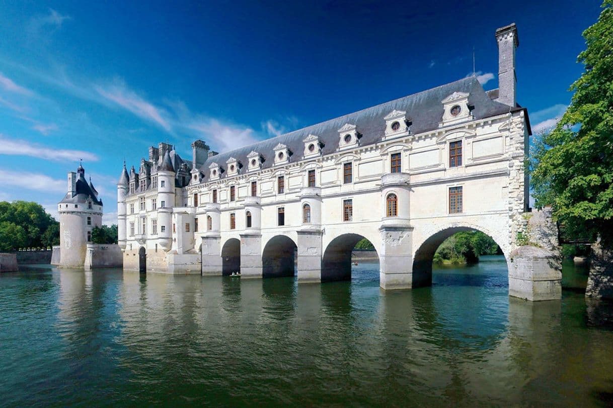 Place Castillo de Chenonceau