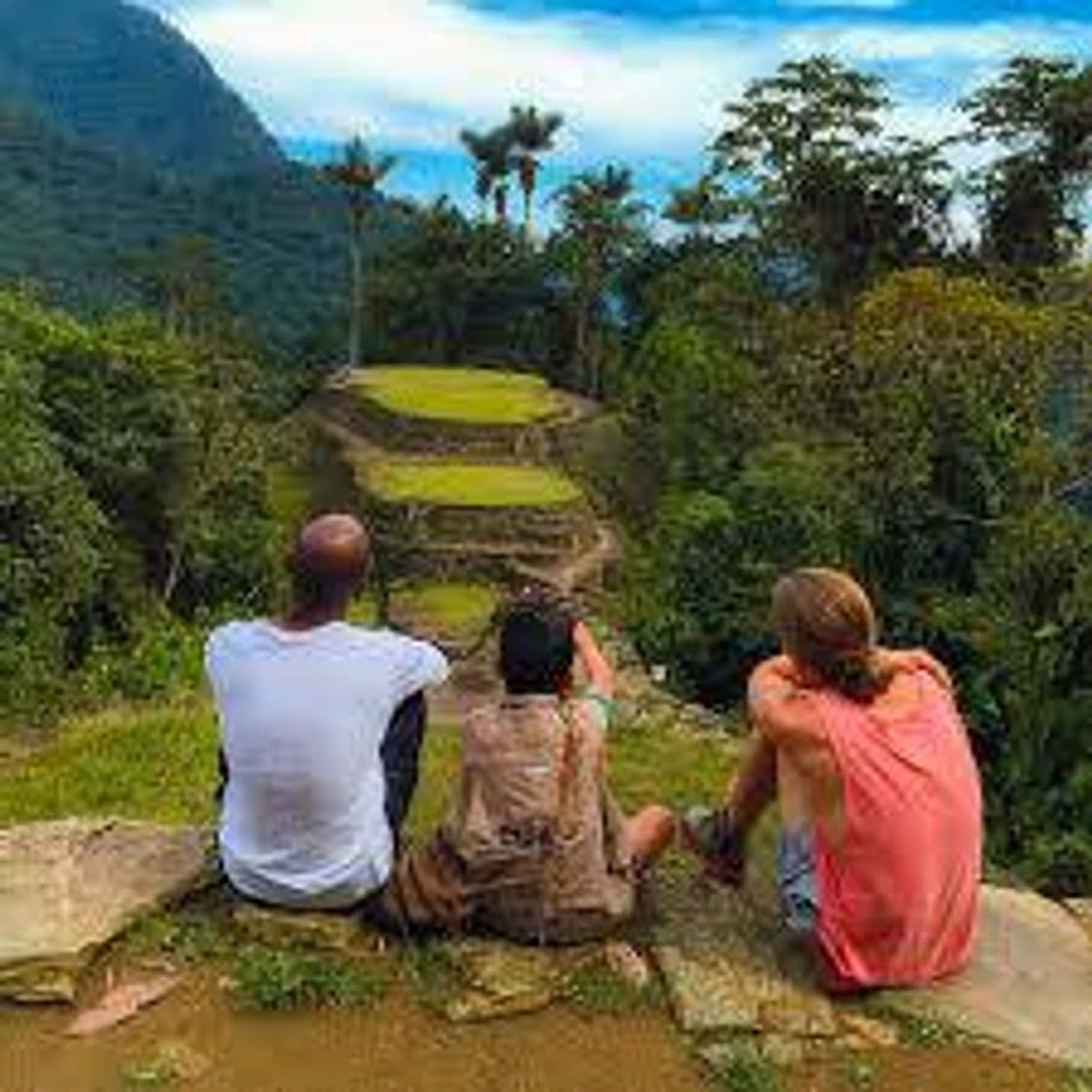 Place Ciudad Perdida